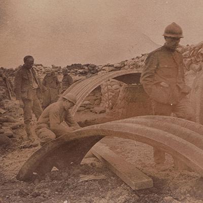Construction of a shelter in the Dixmude sector